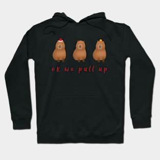 Capybara Triplets Ok We Pull Up Hoodie